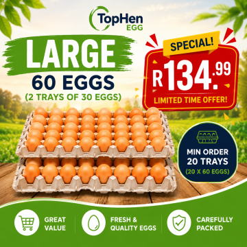 LARGE EGGS