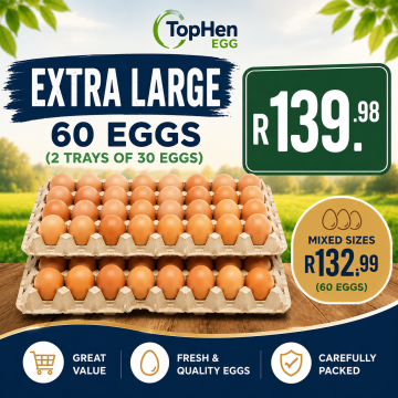 EXTRA LARGE EGGS