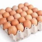 MEDIUM EGGS 360